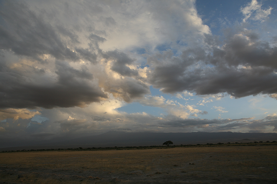 N&aacute;rodn&iacute; park  Amboseli - Amboseli National Park Kenya